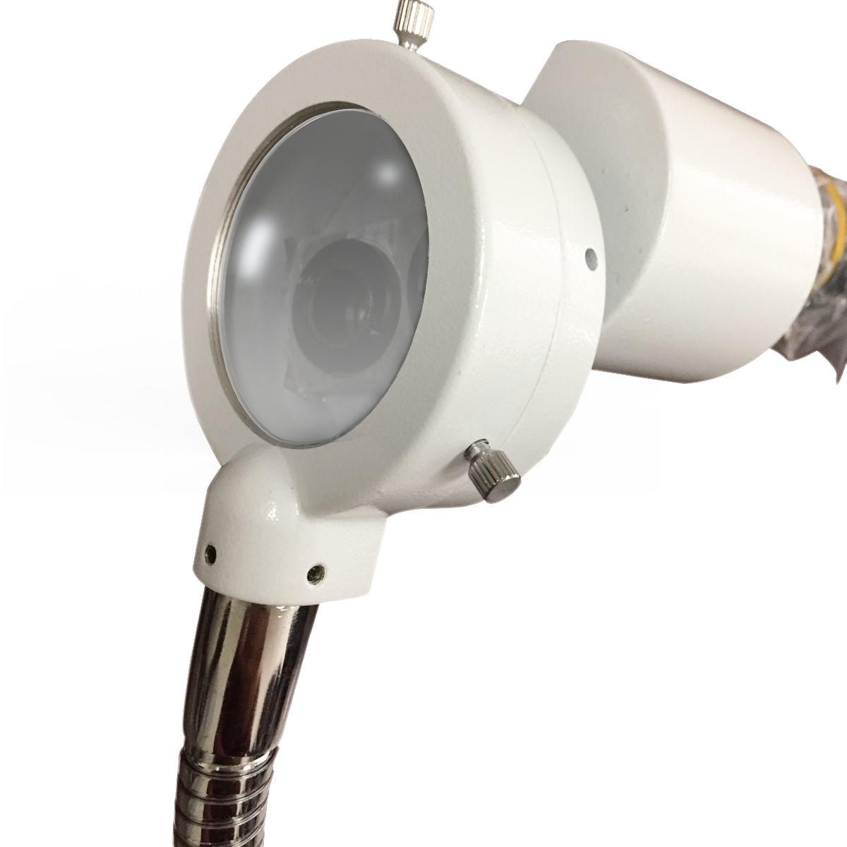 Stereo Microscope